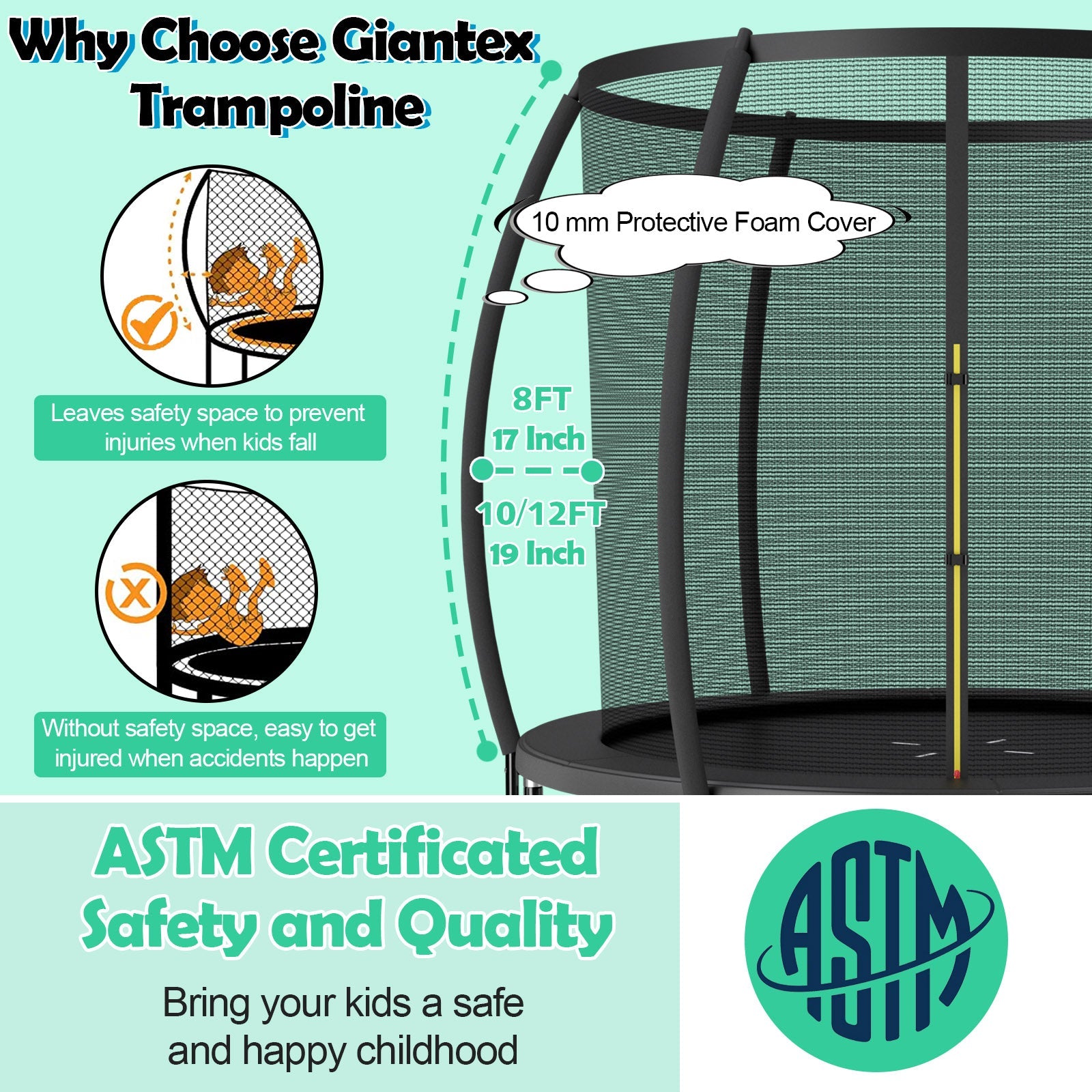 10 Feet ASTM Approved Recreational Trampoline with Ladder-Black
