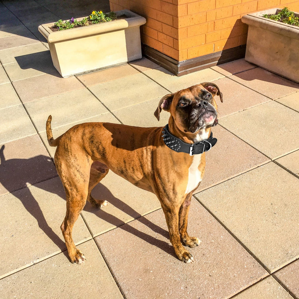 GBruno Dog Leather Collar Spiked