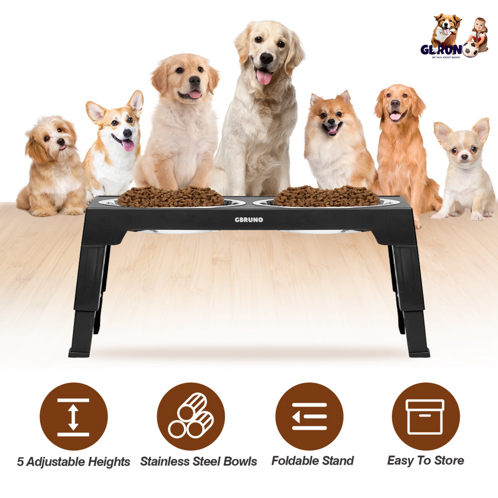 GBruno Dog Raised Bowls