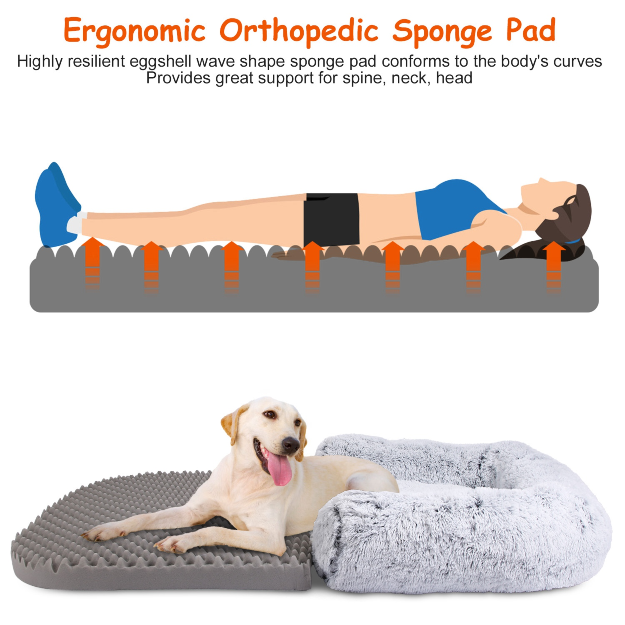 GBruno Large Foldable Human Size Dog Bed