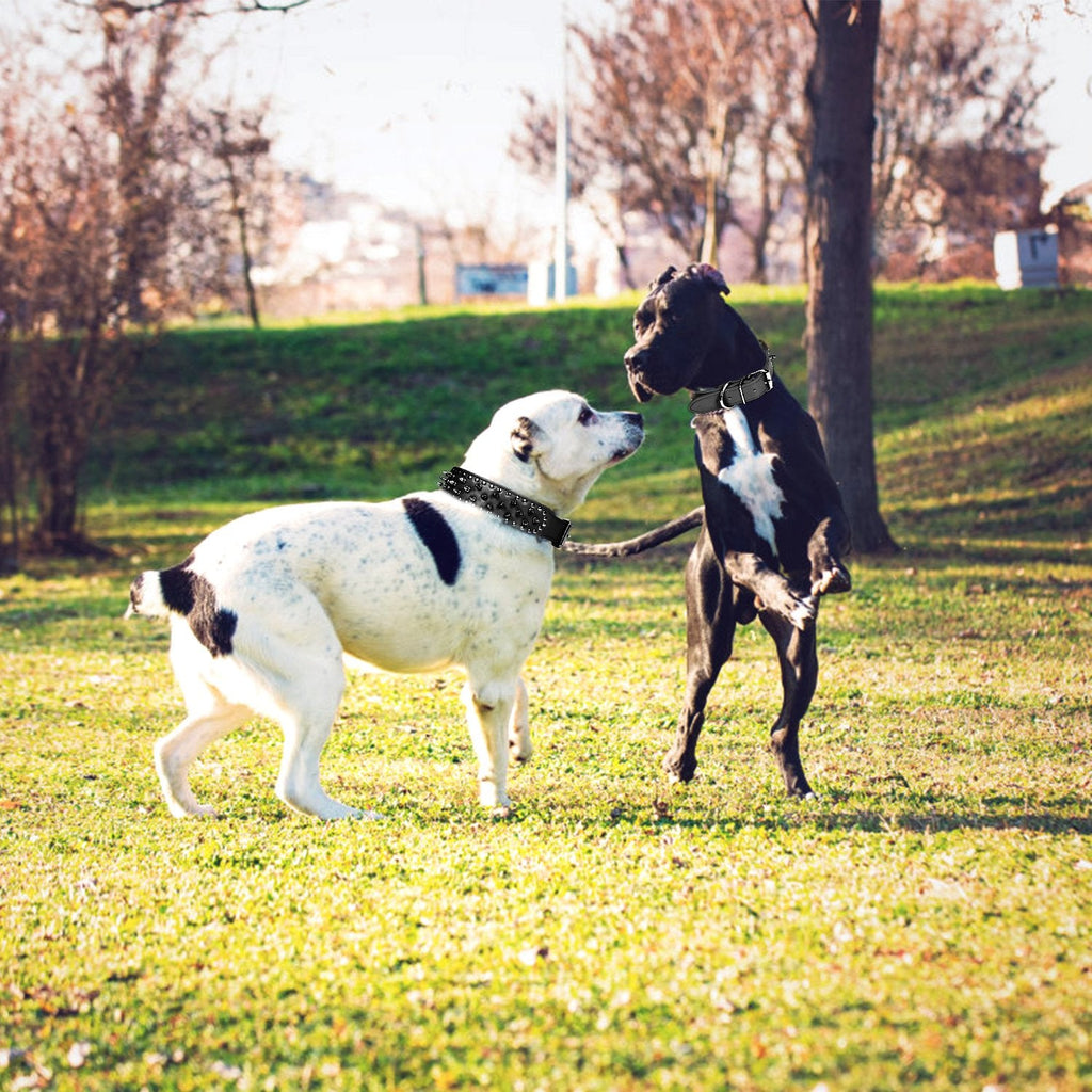 GBruno Dog Leather Collar Spiked