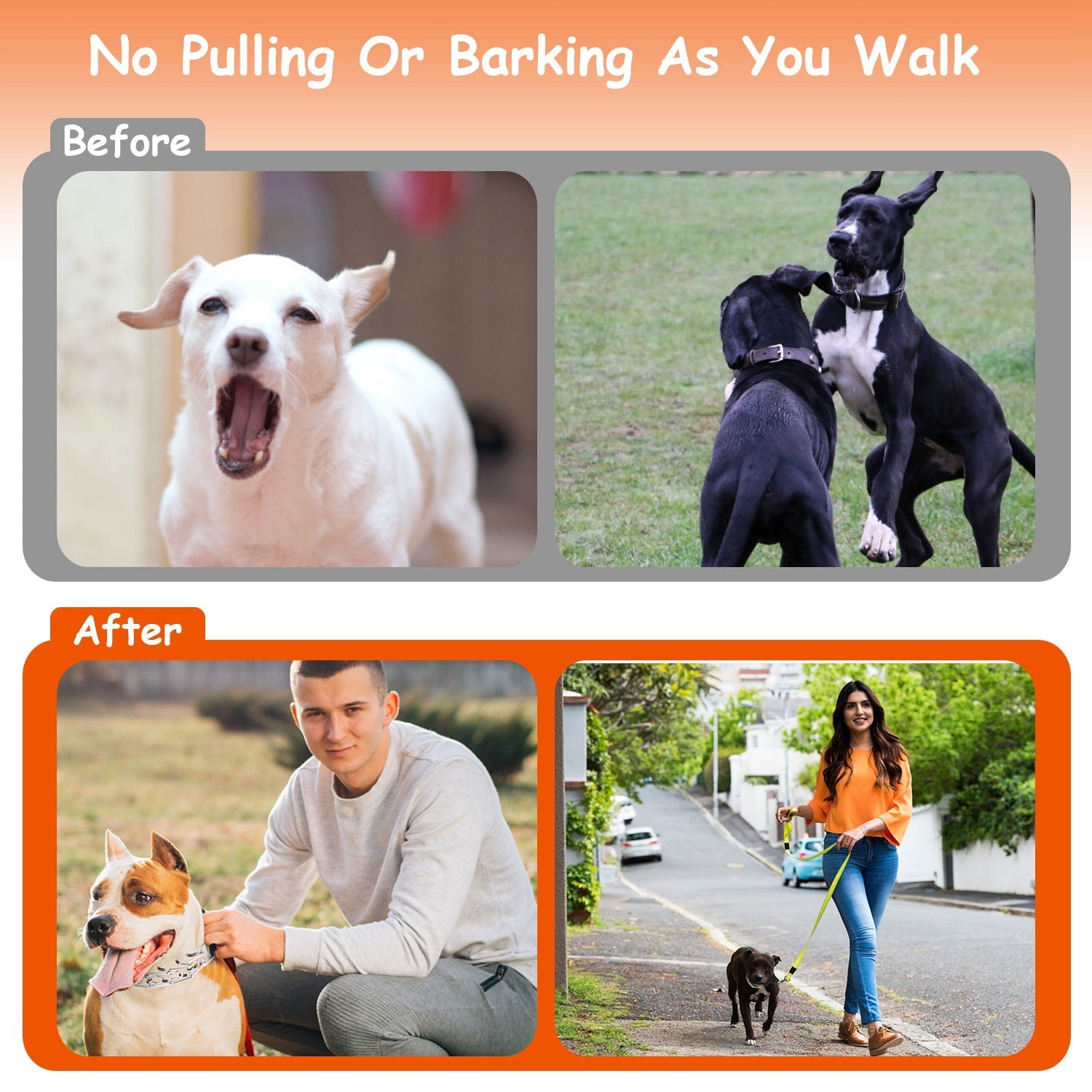 GBruno  Adjustable Dog Choke Collar