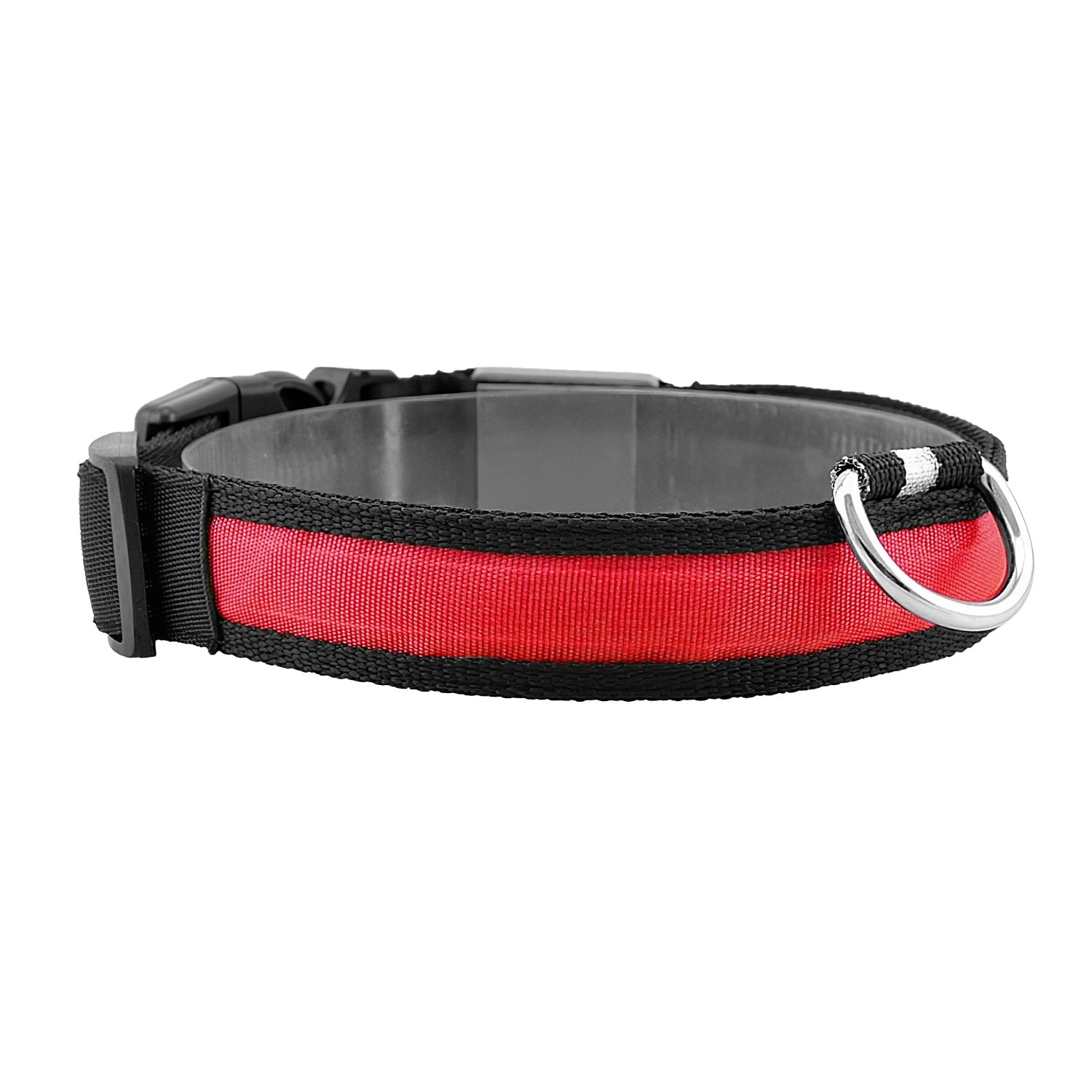 GBruno LED Dog Collar