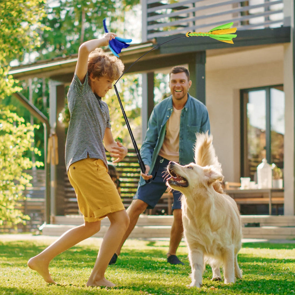 GBruno Extendable Dog Flirt Pole