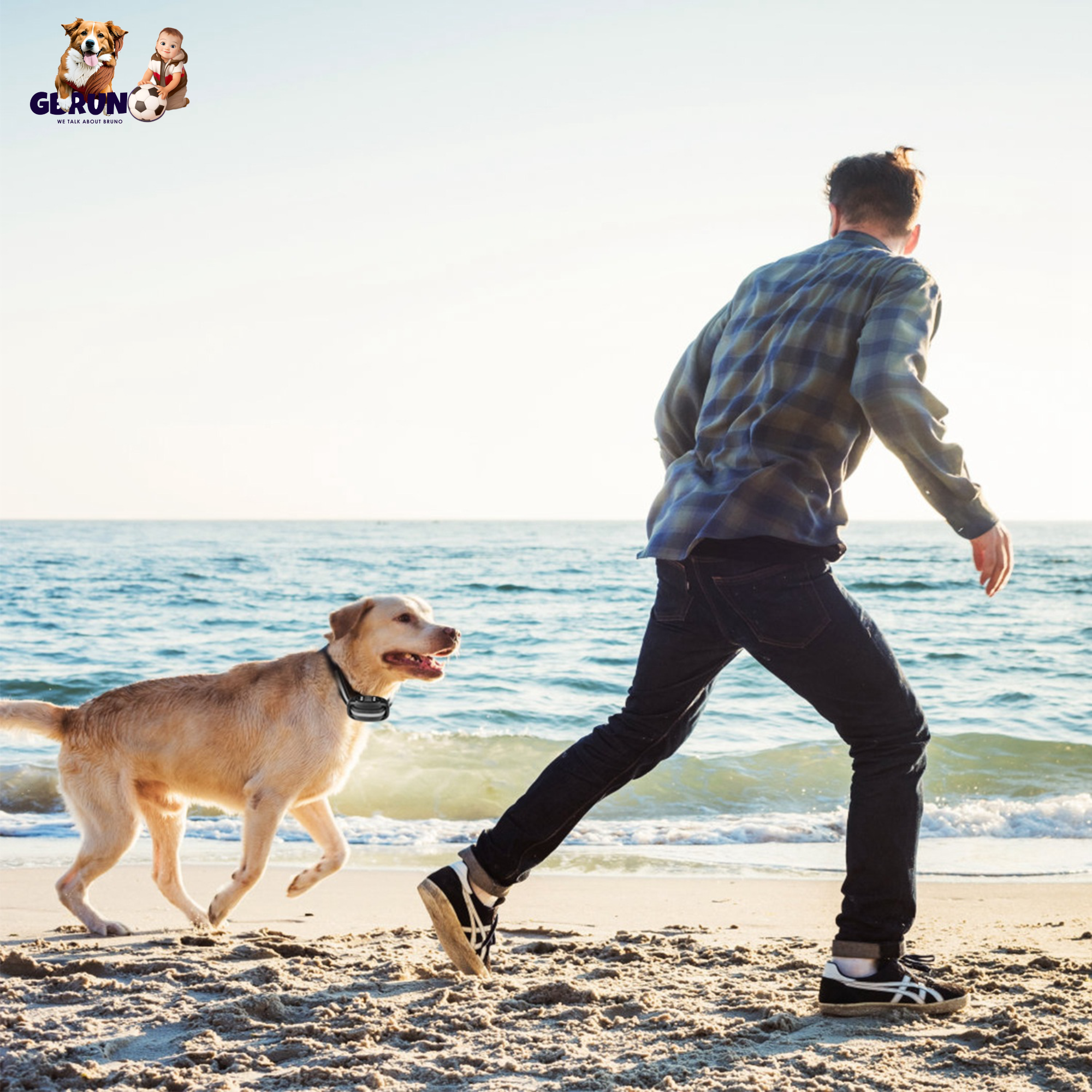 GBruno Wireless GPS Dog Fence