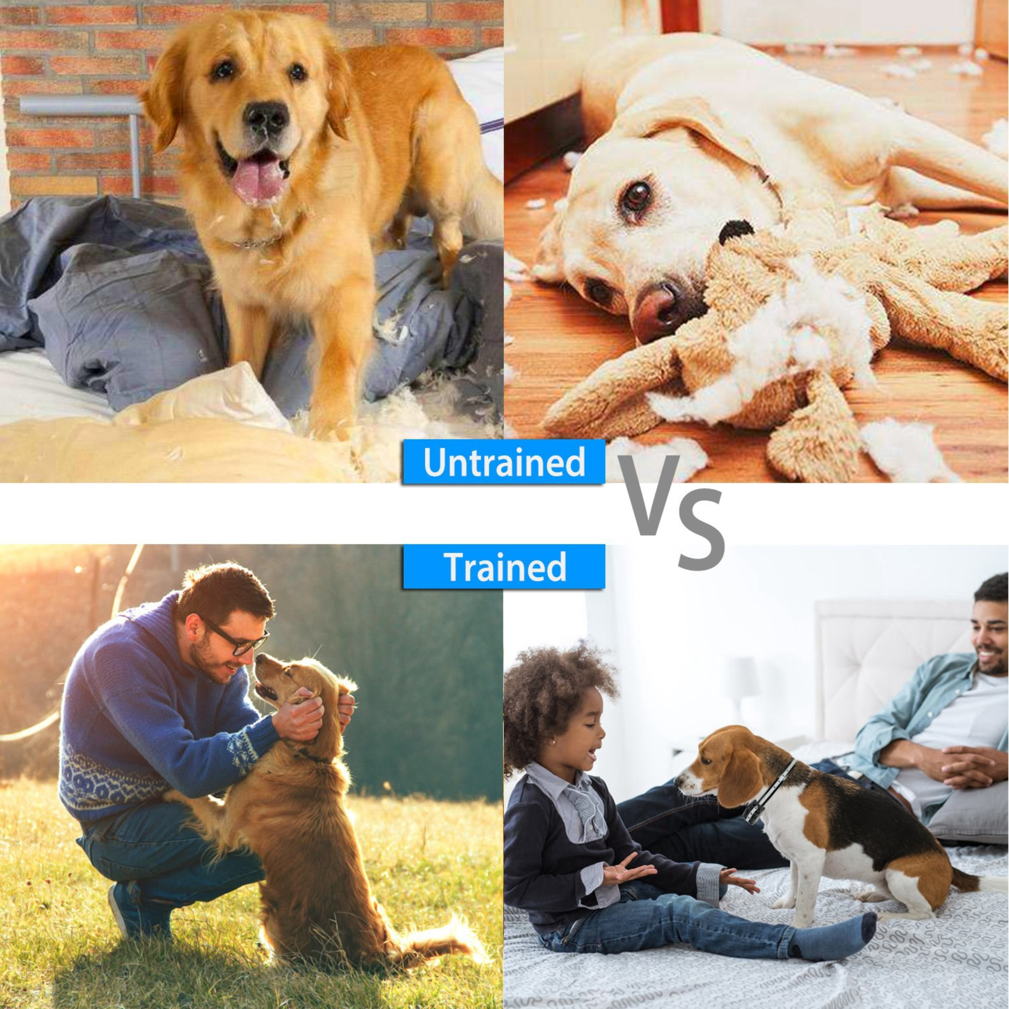 GBruno Dog Training Collar Dog