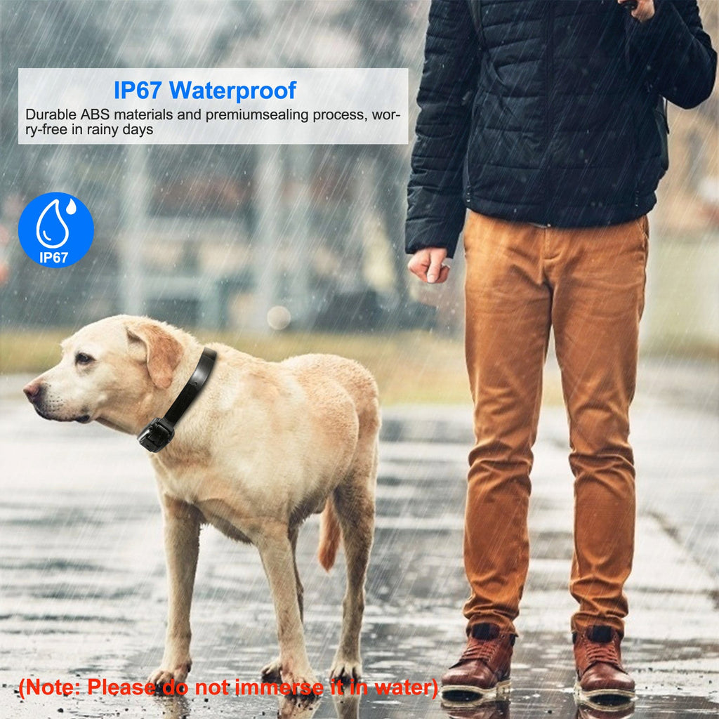 GBruno Dog Training Collar Receiver