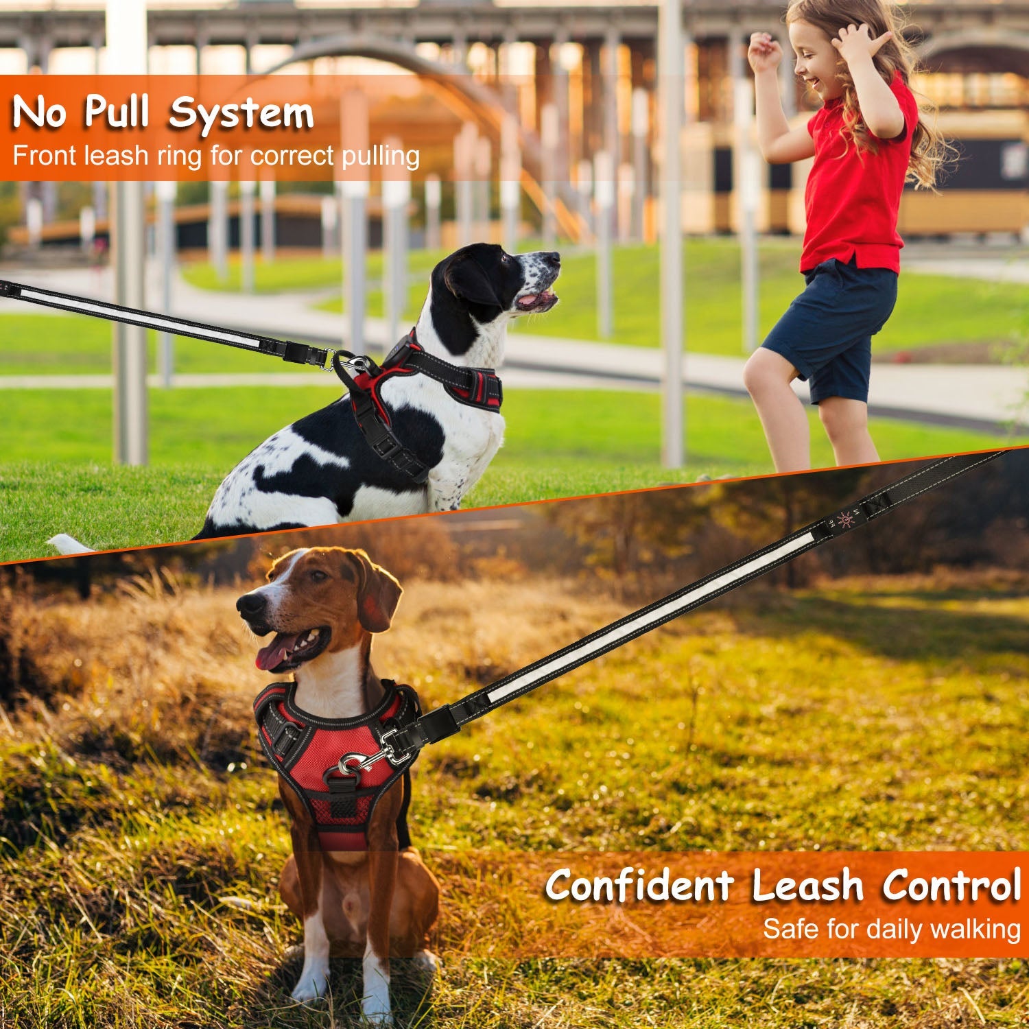 GBruno Light Up Dog Harness