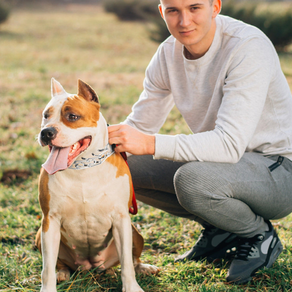 GBruno  Adjustable Dog Choke Collar