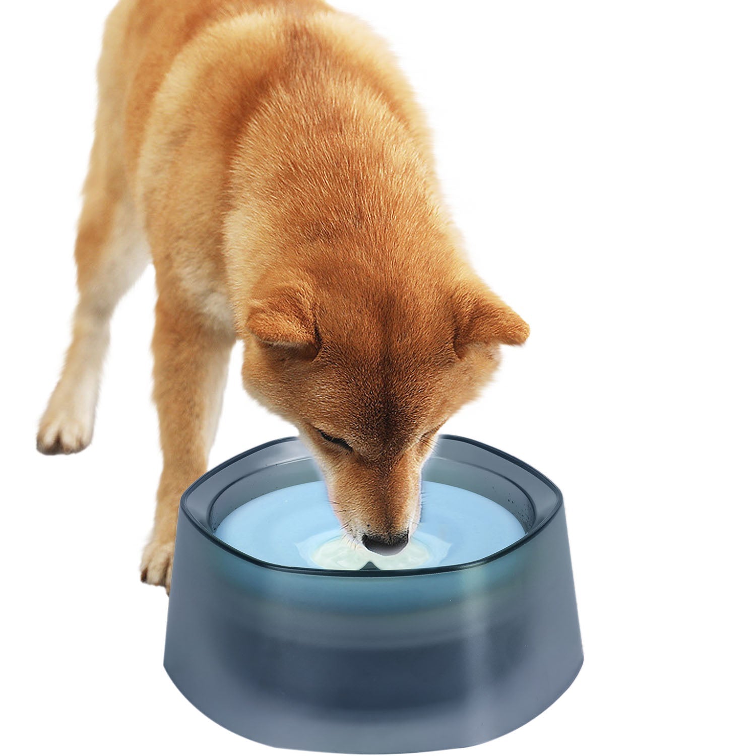 GBruno No Spill Dog Cat Water Bowl