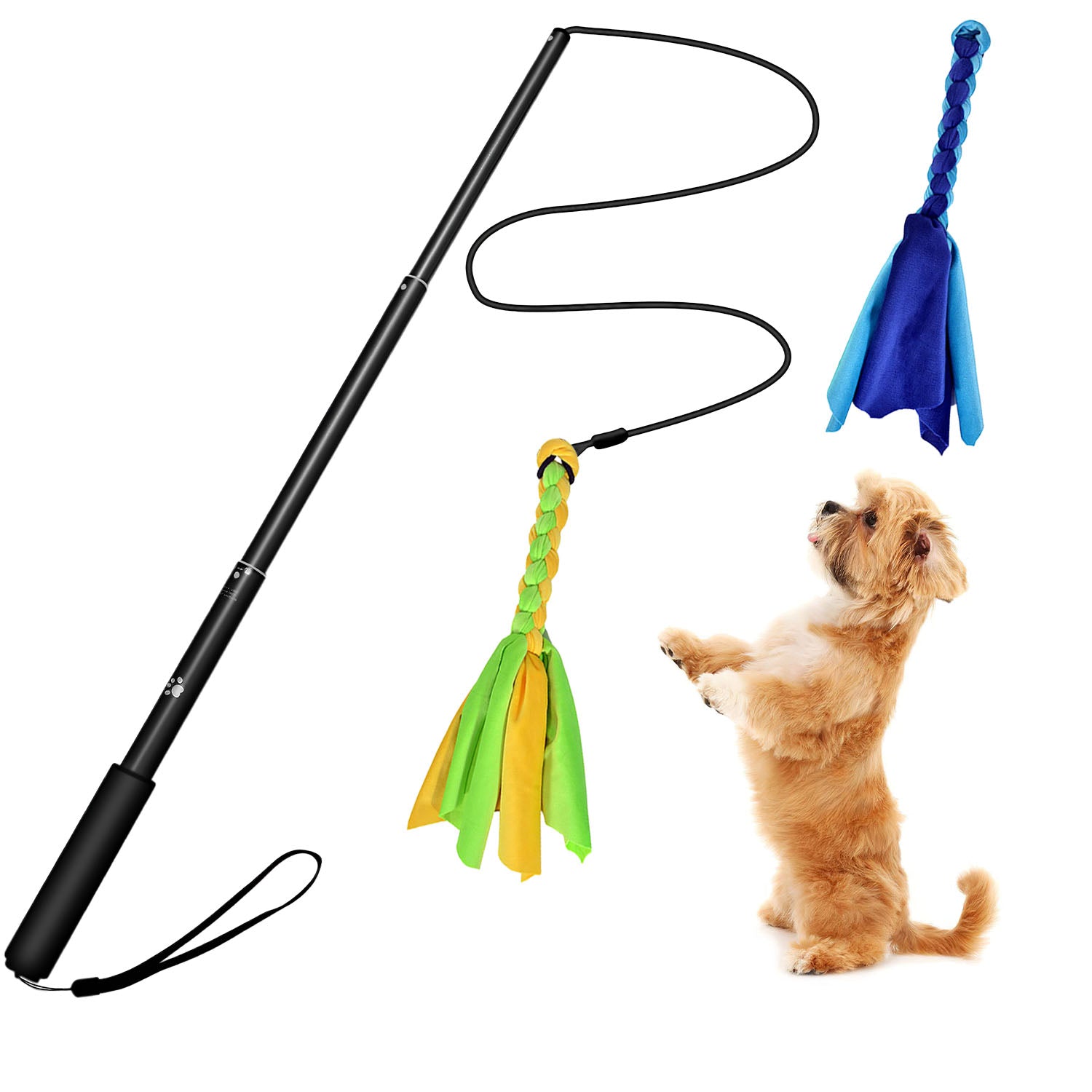 GBruno Extendable Dog Flirt Pole