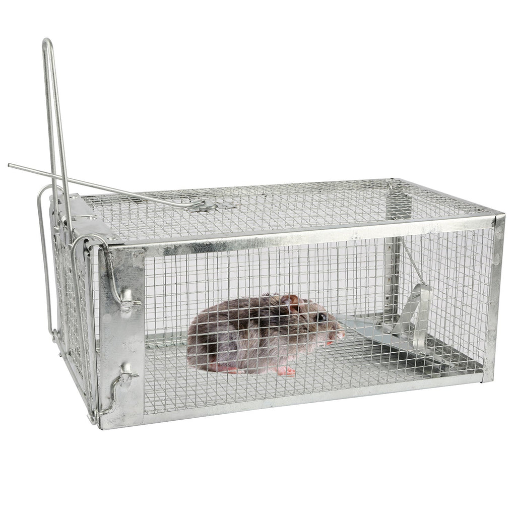 GBruno Rat Trap Cage