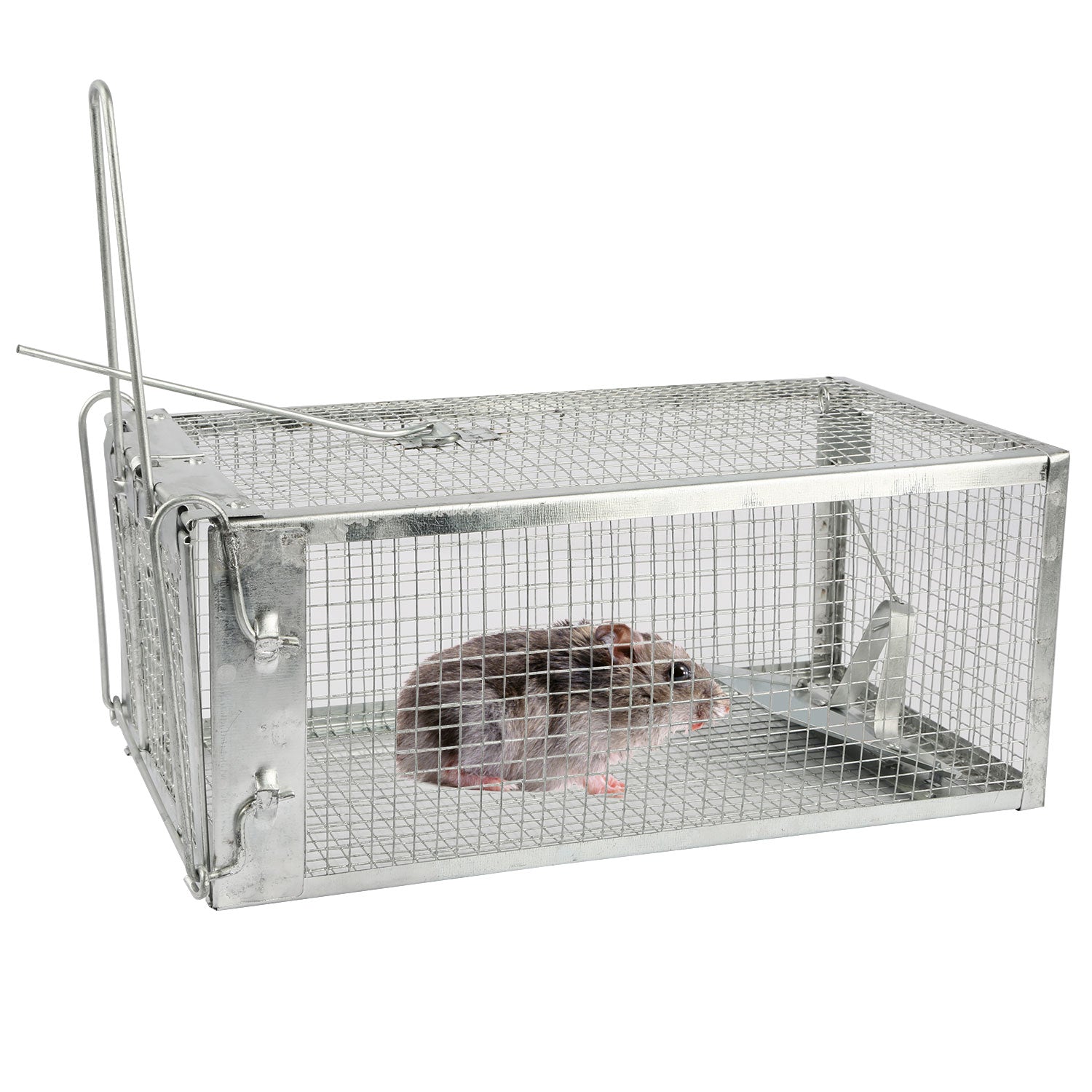GBruno Rat Trap Cage
