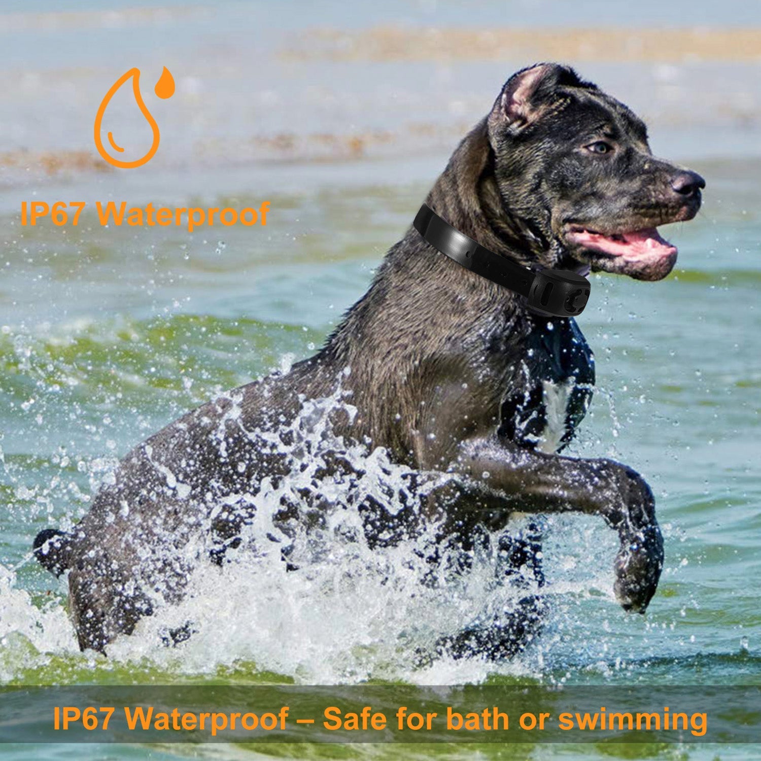 GBruno Dog Bark Collar