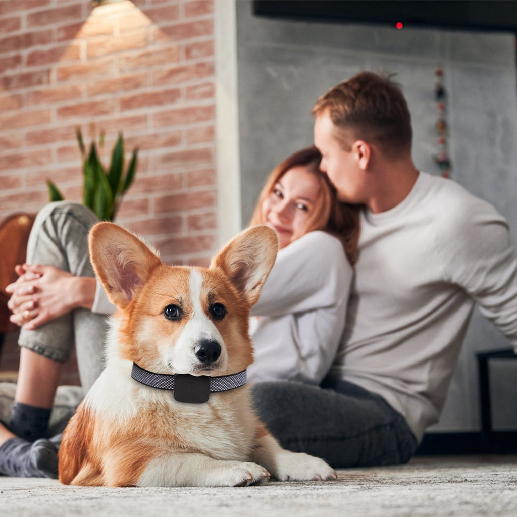 GBruno Anti Bark Dog Collar