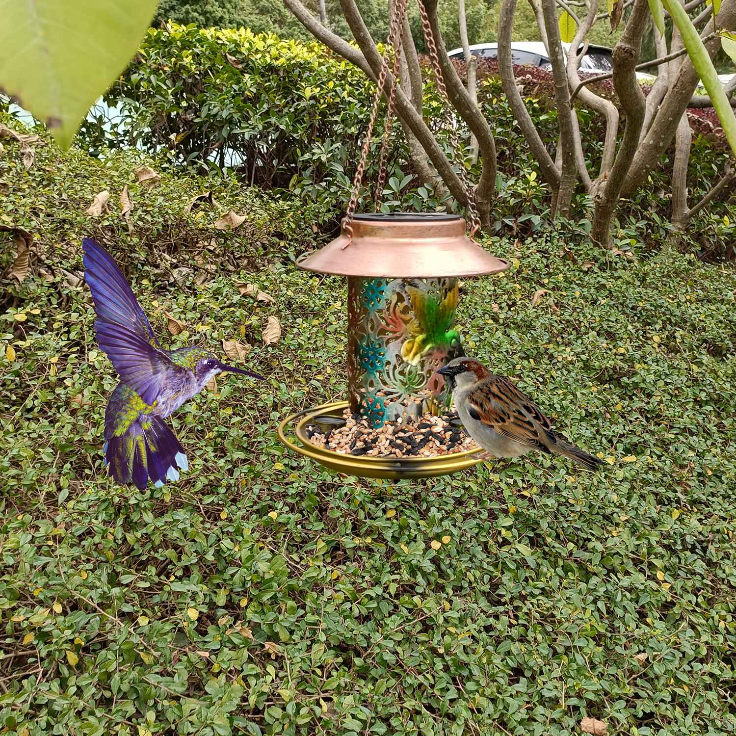 GBruno Solar Bird Feeder
