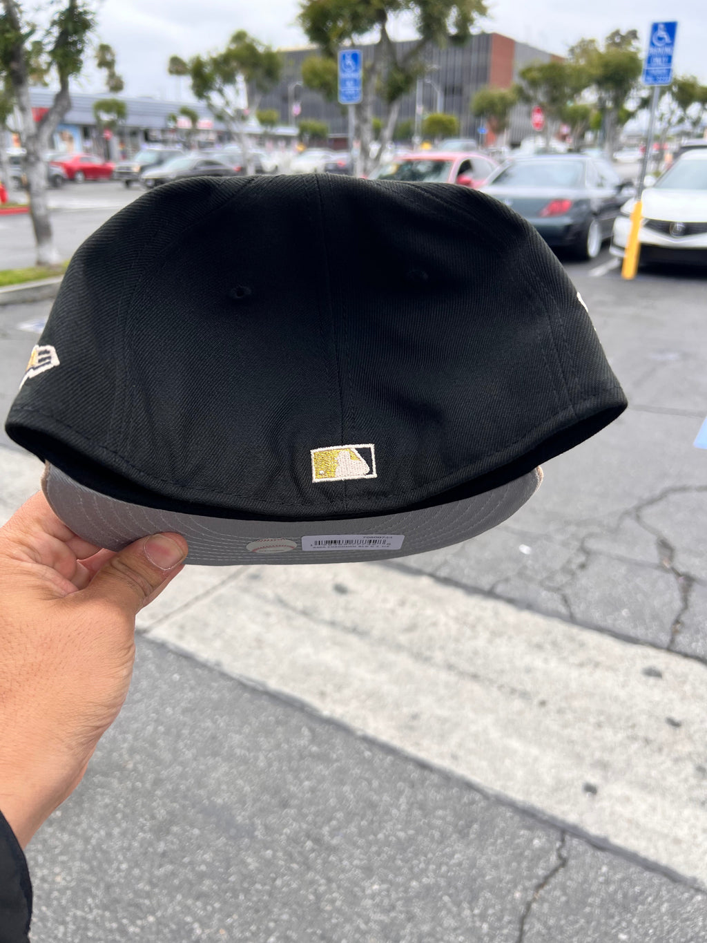 Los Angeles Dodgers Black / Camel Viva Script