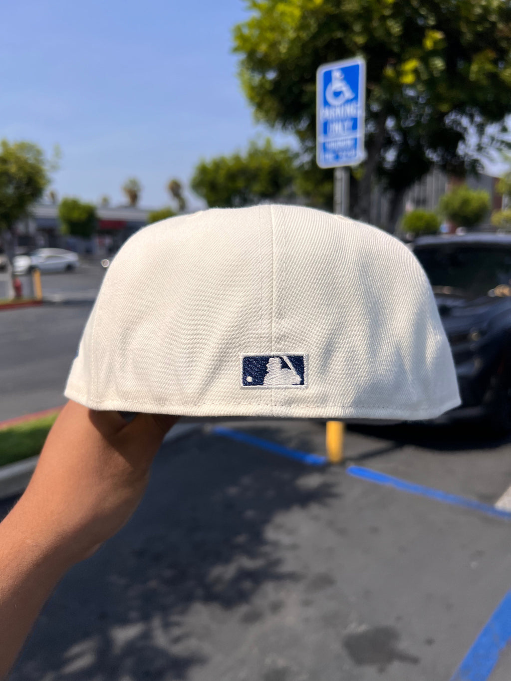 Los Angeles Dodgers Chrome / Navy 5950