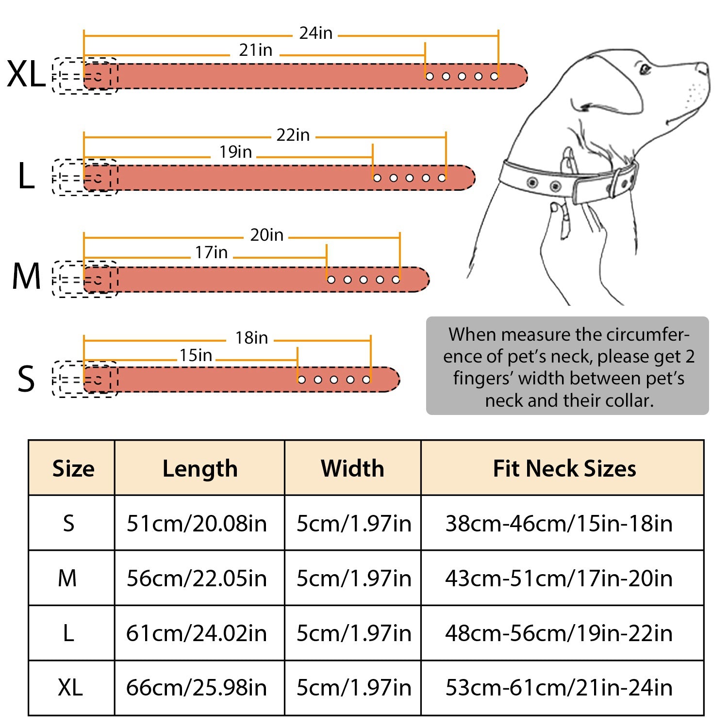 GBruno Dog Leather Collar Spiked