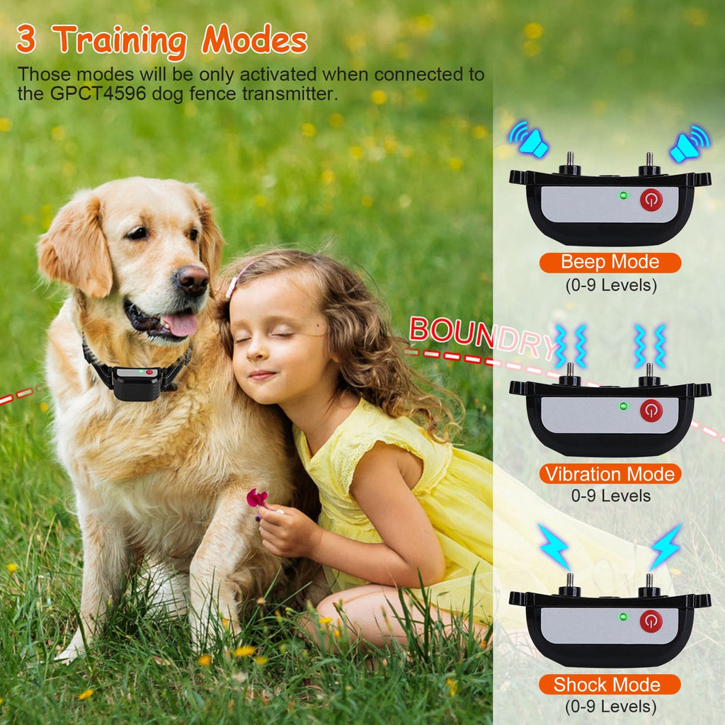GBruno Dog Training Collar Receiver