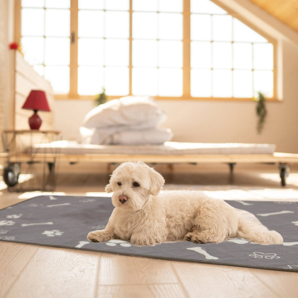 GBruno 2Pcs Washable Pet Pee Pads