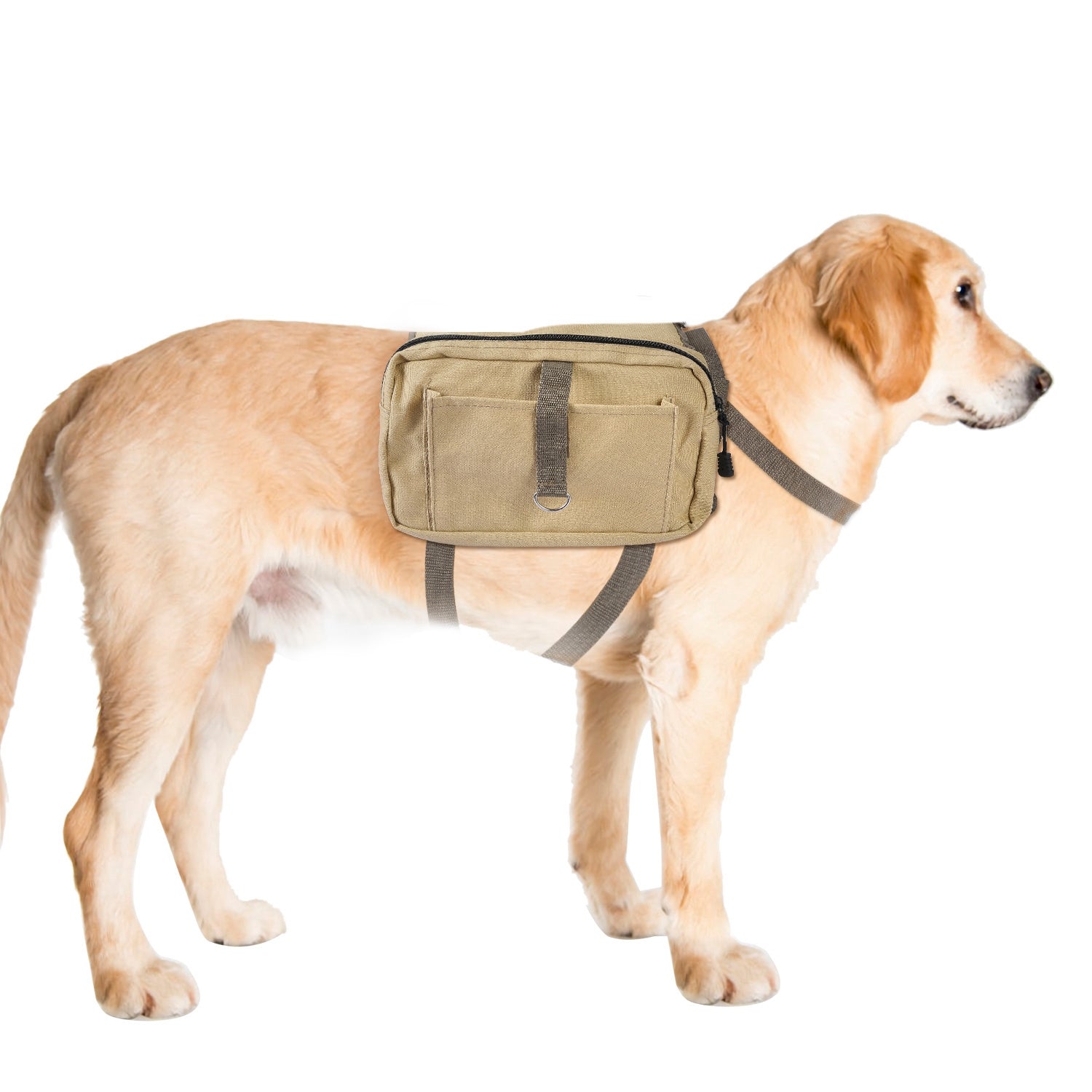 GBruno Pet Dog Backpack